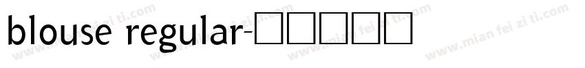blouse regular字体转换